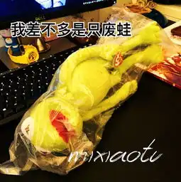  静态版科密特青蛙qq表情图片