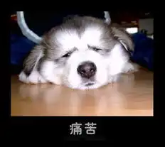  丰富的表情qq都找不到的