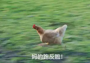  收好这套表情包你就是鸡年斗图之王