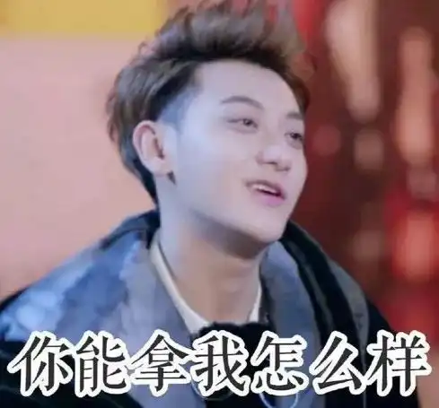磕cp表情包博君一笑山河