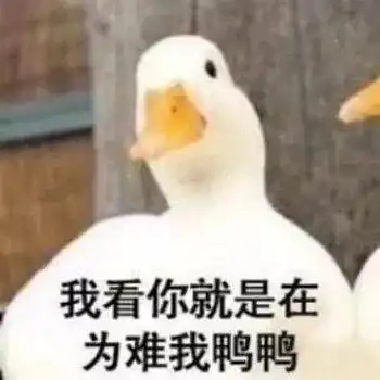  几十万名学生放寒假有小学没作业家长还是布置作业吧