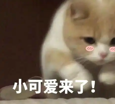  无水印萌宠卖萌专用表情包被生活压秃了脑阔