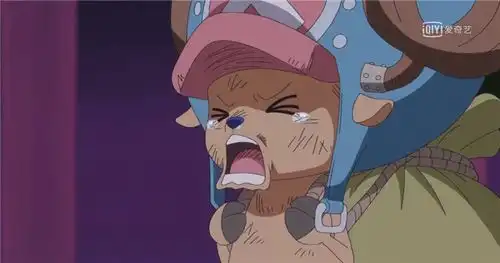  海贼王拯救布鲁克小队组成,娜美乔巴加洛特成表情包