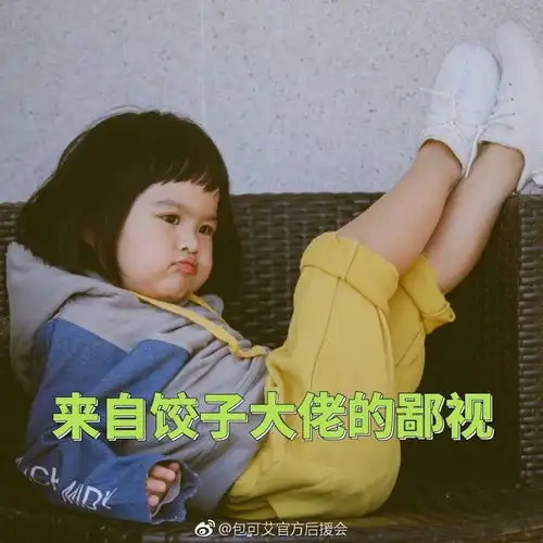  有喜欢包贝尔的女儿饺子的吗一位行走的表情包饺...