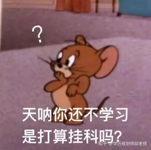 充电器套路表情包猫和老