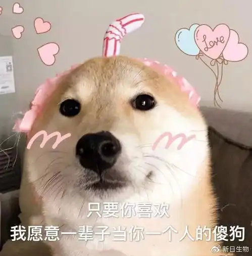  双十一脱单必备指南附表白表情包