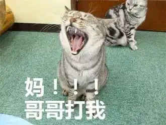  您儿女小时候的表情包,请您务必发给他她