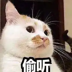  历史回顾网红猫咪楼楼表情包第七弹