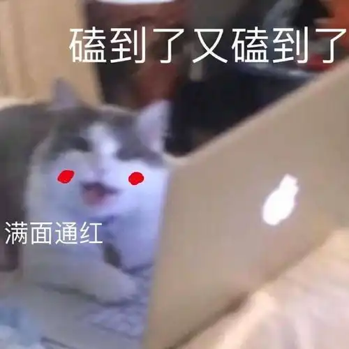 我磕的cp成真了表情包