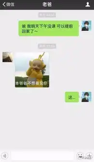 我是你爸爸表情包原图泼
