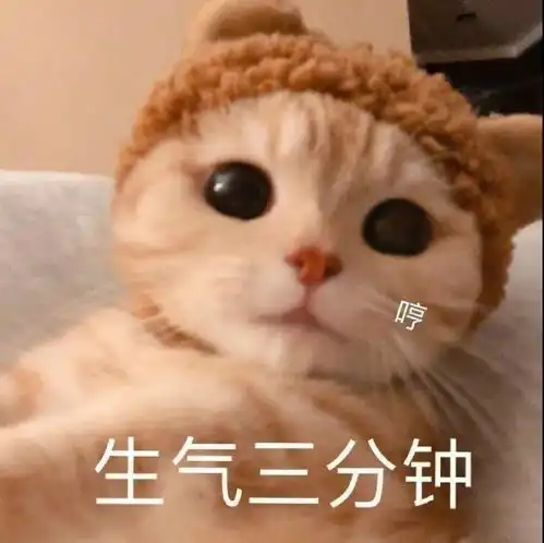  女朋友撒娇系列表情包分享