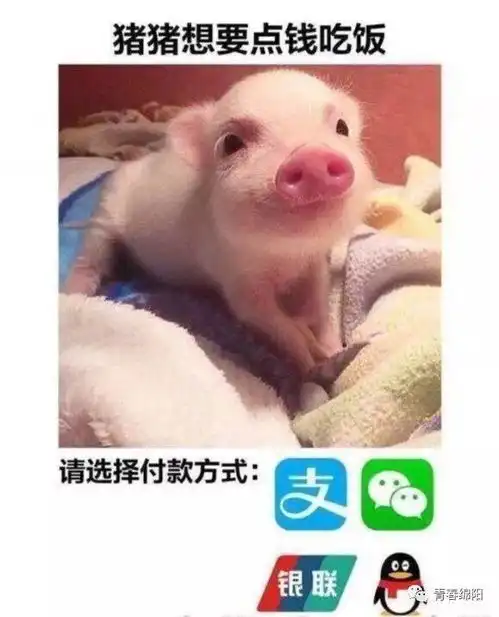  你们一天发800次的表情包网红到底是谁