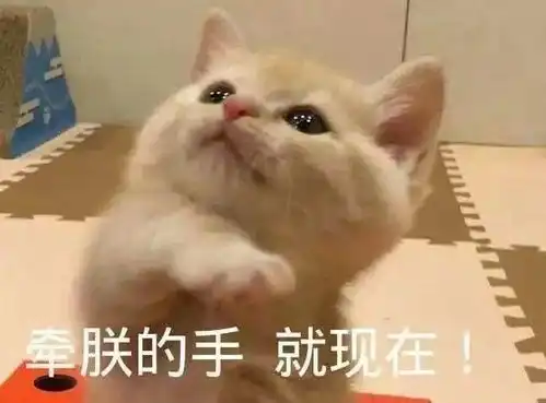  跟对象撒娇必备的表情包