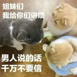  女朋友是猫,虽然傲娇,但是你在外面拈花惹草她都知道
