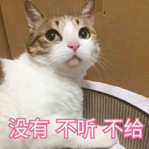  表情包老公,总之哄不好了委屈生气猫猫表情,贼可爱