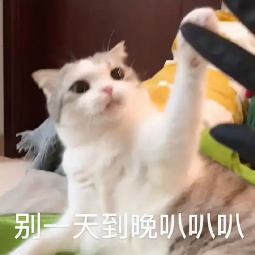  当12星座不自觉地做这些时,证明你老了