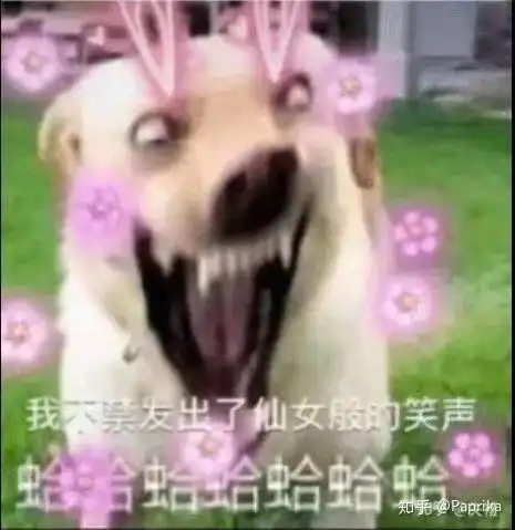 草地养动物表情包跳舞