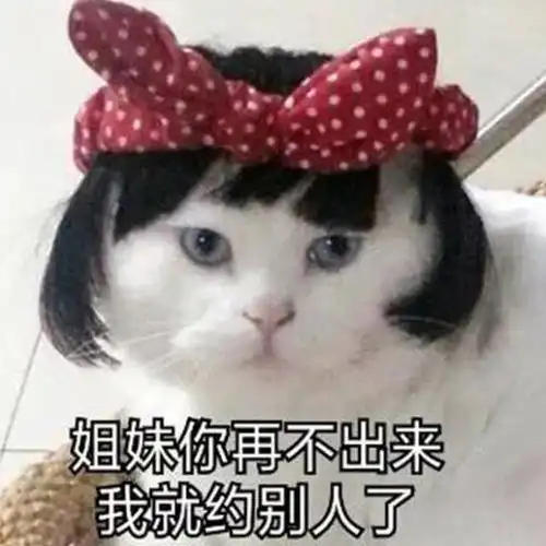  笑的停不下来的搞笑文案