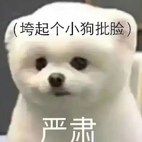 fuze表情包狗狗