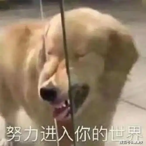  热门表情包图片最酷的开黑,我一个打五个