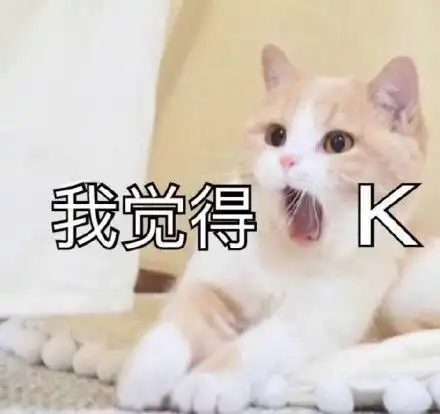 毁谤我啊表情包猫咪