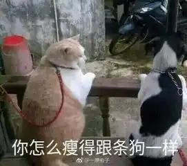  吃鸡的时候捡到这样一把枪,这不是薛之谦老师的娘娘枪么丨节操睡了
