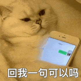  跟你超配的沙雕表情包