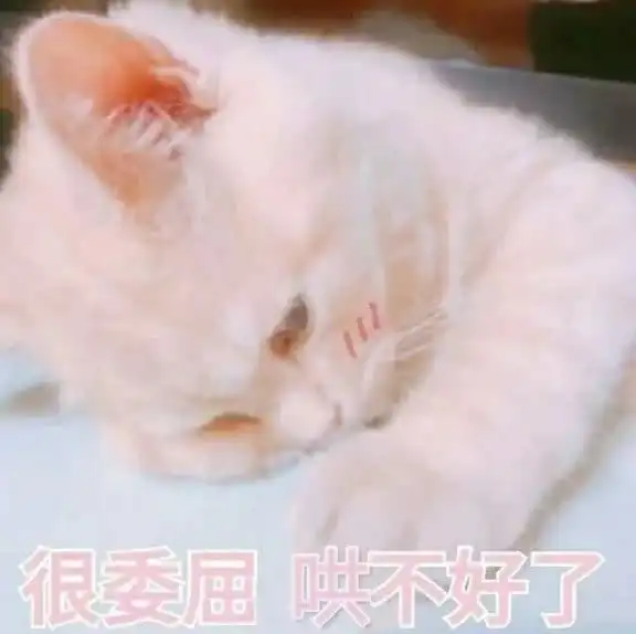  发给对象的表情包