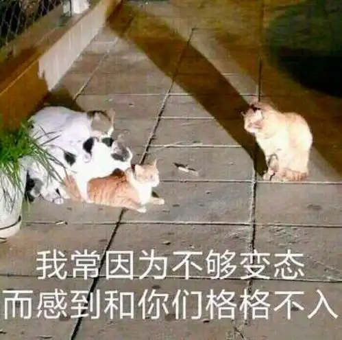  一些好看的猫猫表情包