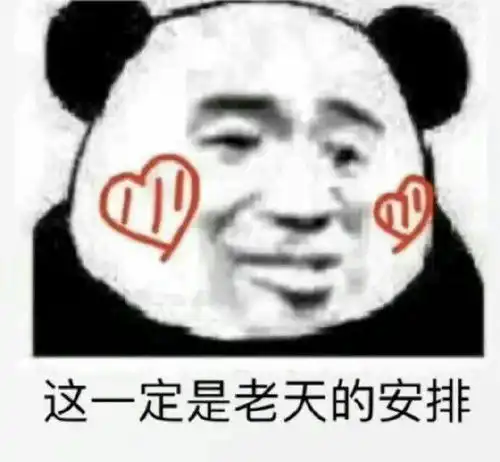 一看就笑的表情包图片