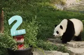  一周图片页