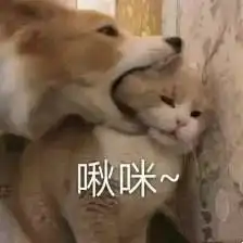  天生黑皮,如何两个月内全身变白