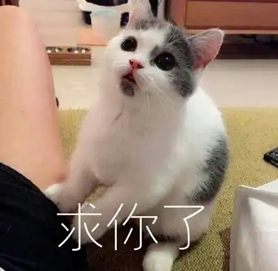  ovo猫咪表情包熊扑奶团超可爱猫咪表情包