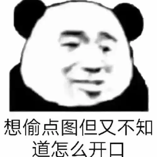  熊猫头表情包i都一把年纪了还这么不知羞耻