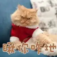  霸气表情包