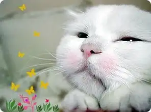  其实我们都很可爱