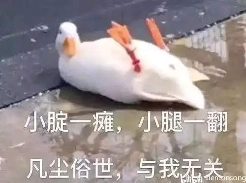 我不喜欢女人表情包绝不