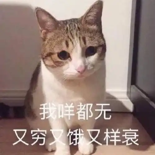 老公我想你了表情包