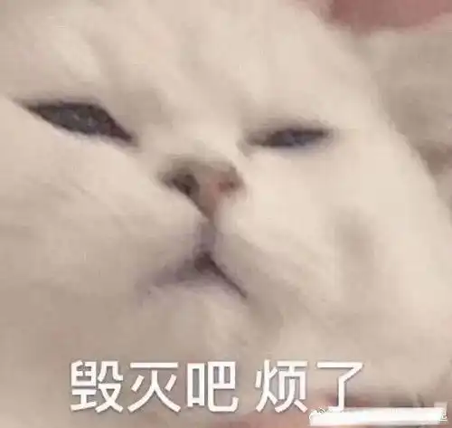 笑死我了的表情包生活万