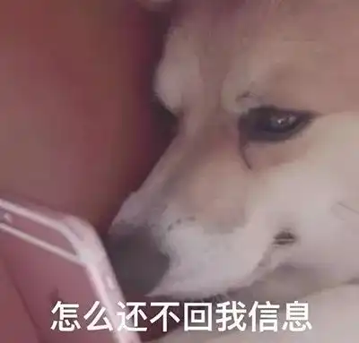 舔狗图片表情包红药水