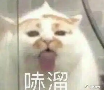  不吃菜也不吃肉,天天靠豆皮蟹棒维持生命是什么鬼