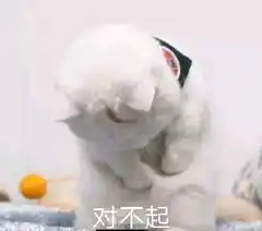 表达谢谢的表情包
