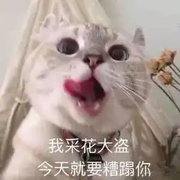  撩小哥哥用的表情包我混世大魔王,申请做你的小熊软糖