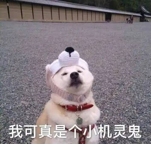  有什么适用于和老公男票撒娇的可爱表情包