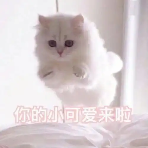  莱茵春天花样抖音视频大赛参与即有奖