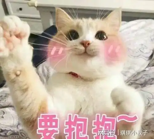  肚子猫咪向你展示这个部位,有这些意义