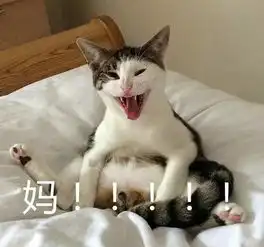 你他妈的在逗我表情包这组