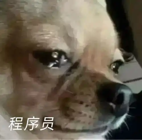  哈哈,钉钉评论区已沦陷阿里巴巴的十年打造,毁于小学生