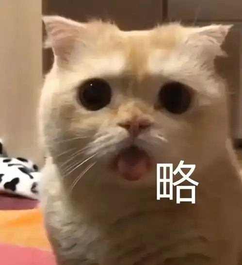  表情包老子才不要做什么甜心宝贝,老子是暴躁美女