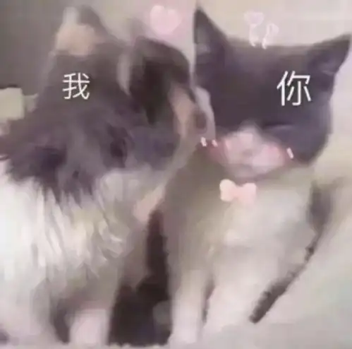  有没有这种哄女孩子开心的表情包